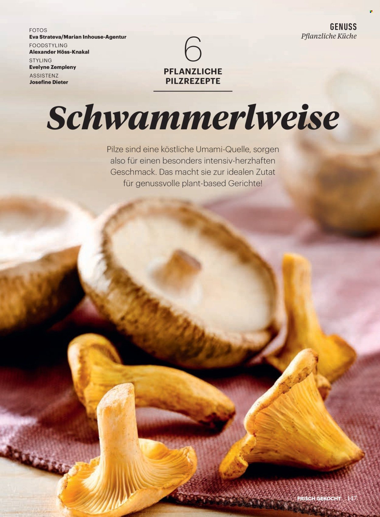 BILLA Flugblatt - Ab Montag, 1.9.2025 (2025-09-01 - 2025-09-30)