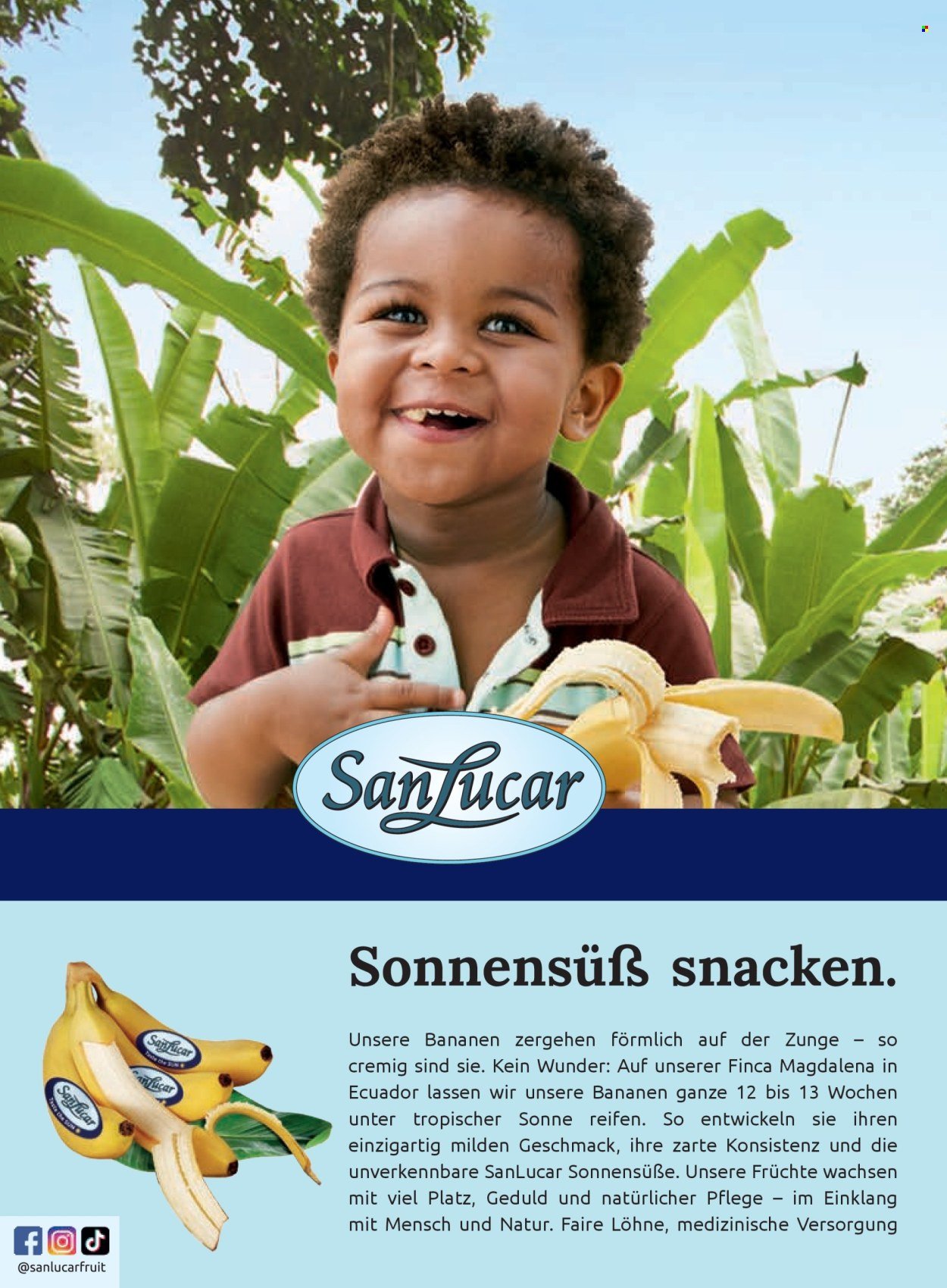 BILLA Flugblatt - Ab Montag, 1.9.2025 (2025-09-01 - 2025-09-30)