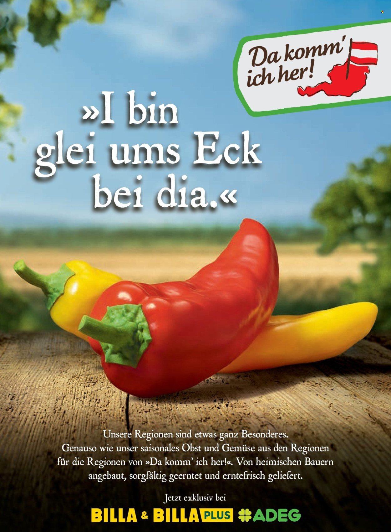 BILLA Flugblatt - Ab Montag, 1.9.2025 (2025-09-01 - 2025-09-30)