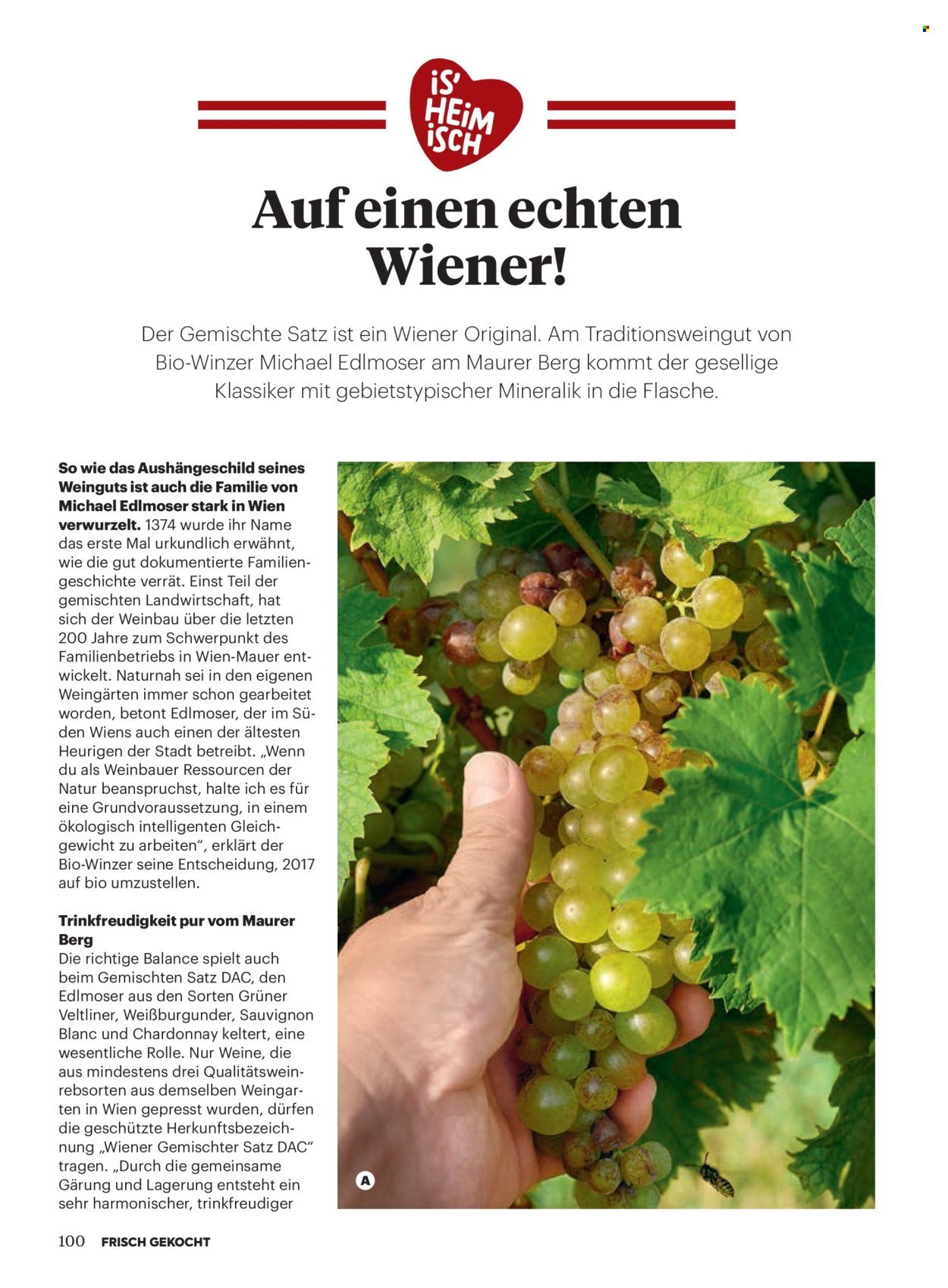 BILLA Flugblatt - Ab Montag, 1.9.2025 (2025-09-01 - 2025-09-30)