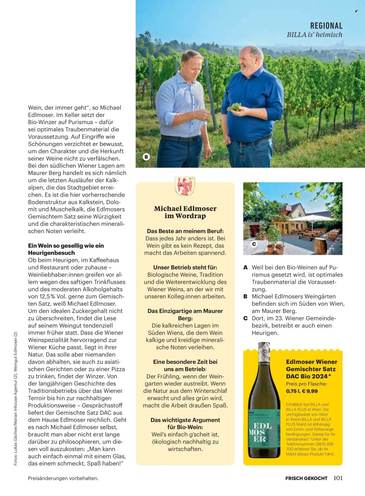 BILLA Flugblatt - Ab Montag, 1.9.2025 (2025-09-01 - 2025-09-30)