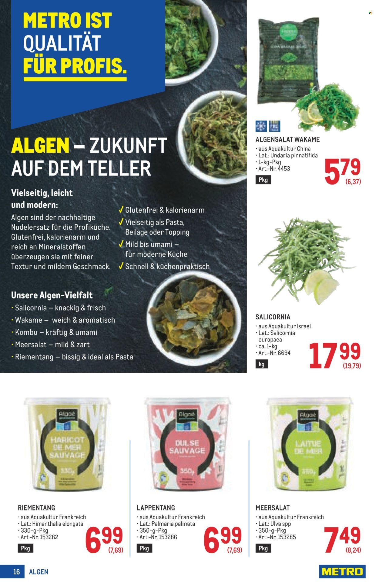 METRO Flugblatt - Profi