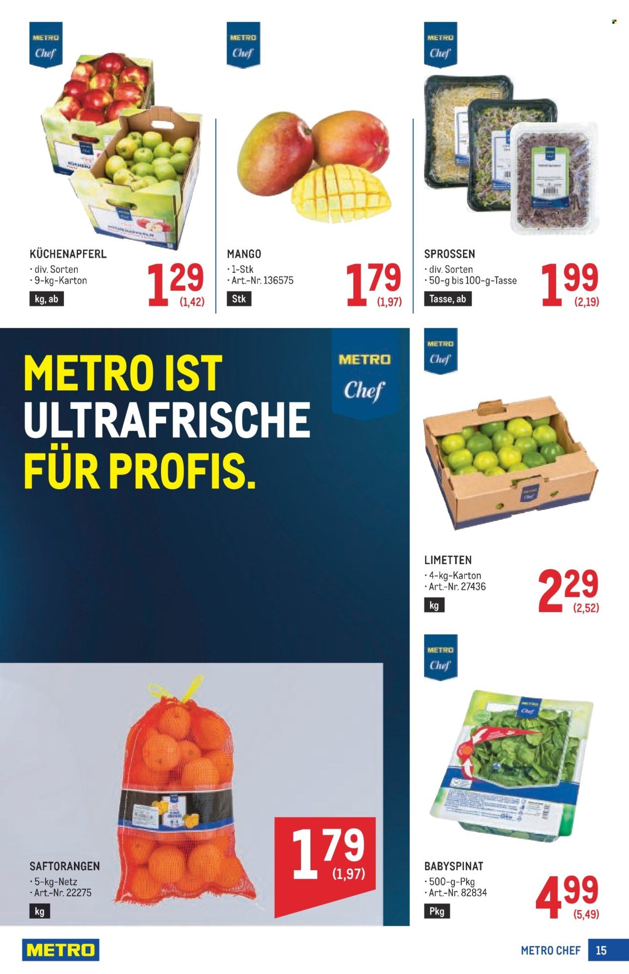 METRO Flugblatt - Profi