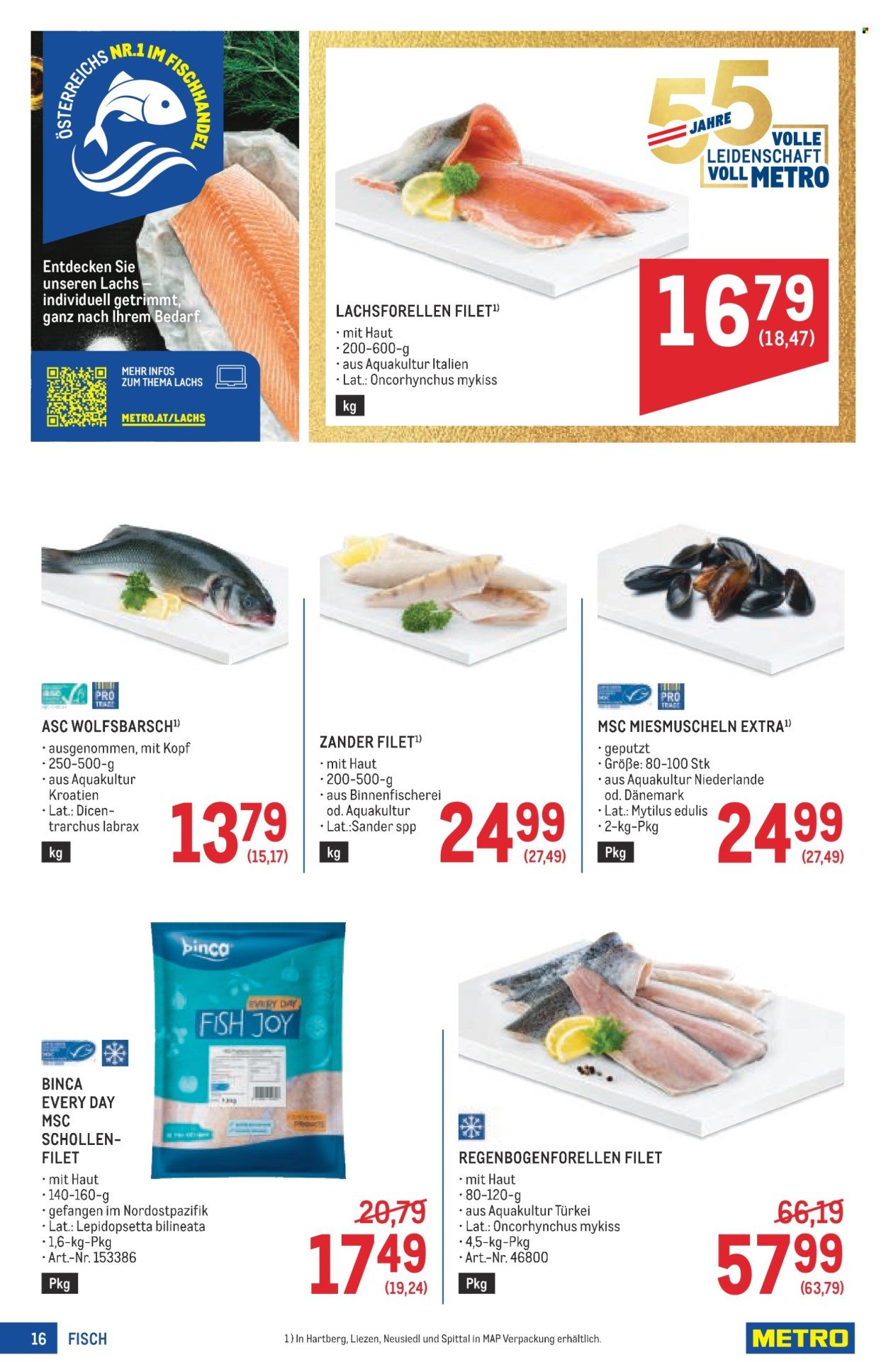 METRO Flugblatt - Profi