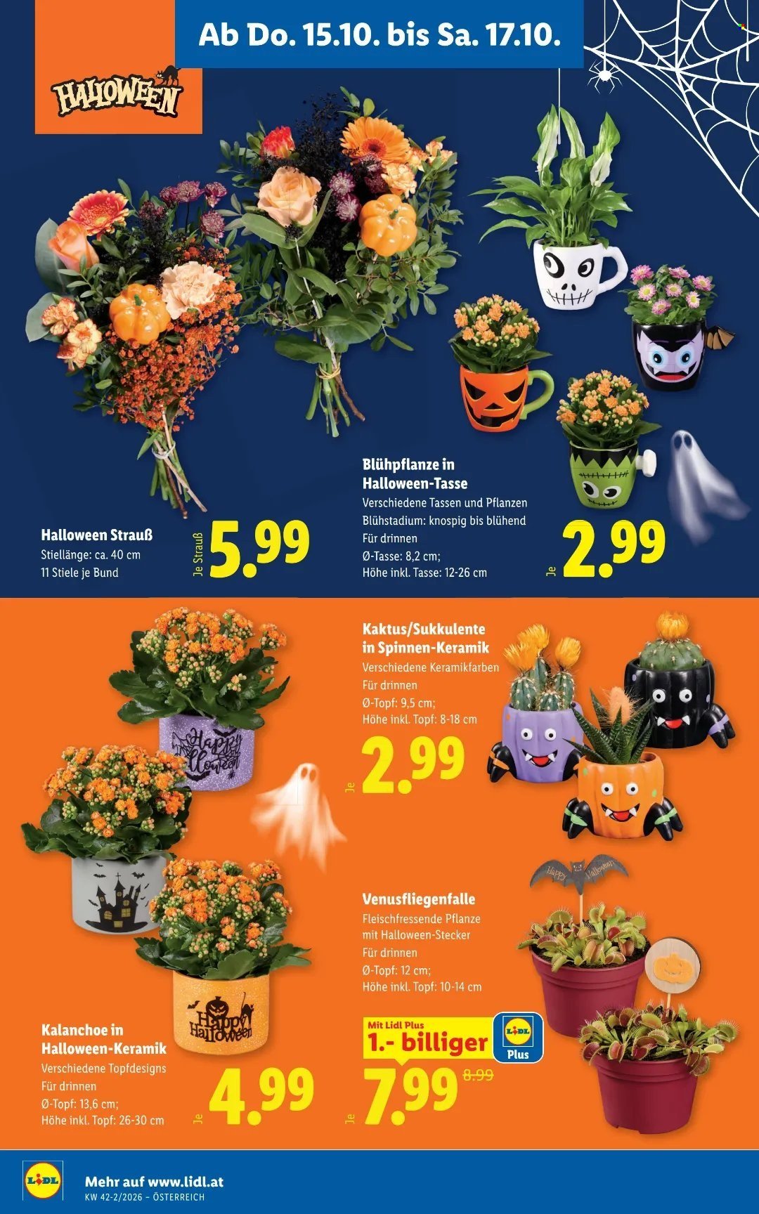 LIDL Flugblatt - Ab Donnerstag, 15.10.2026