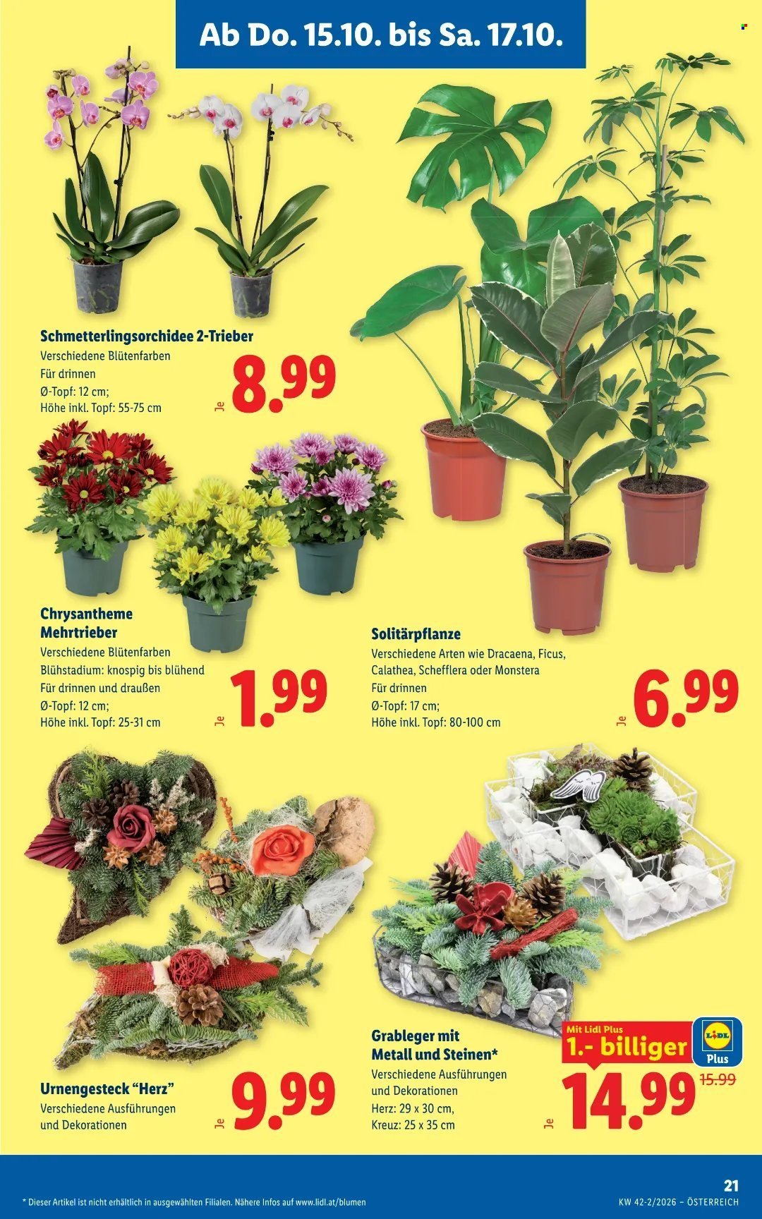 LIDL Flugblatt - Ab Donnerstag, 15.10.2026