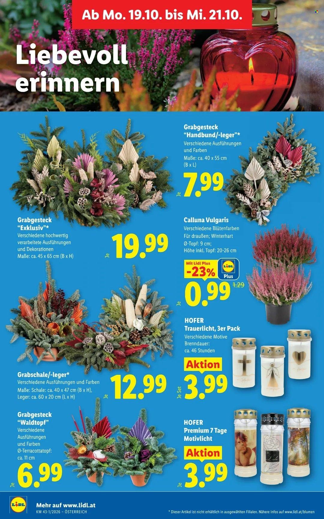 LIDL Flugblatt - Ab Donnerstag, 15.10.2026