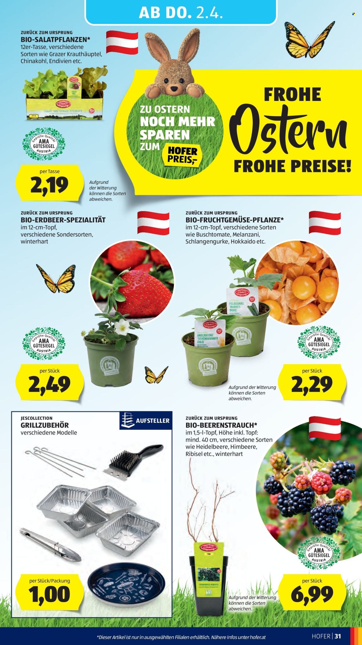 HOFER Flugblatt - Ab Freitag, 27.3.2026