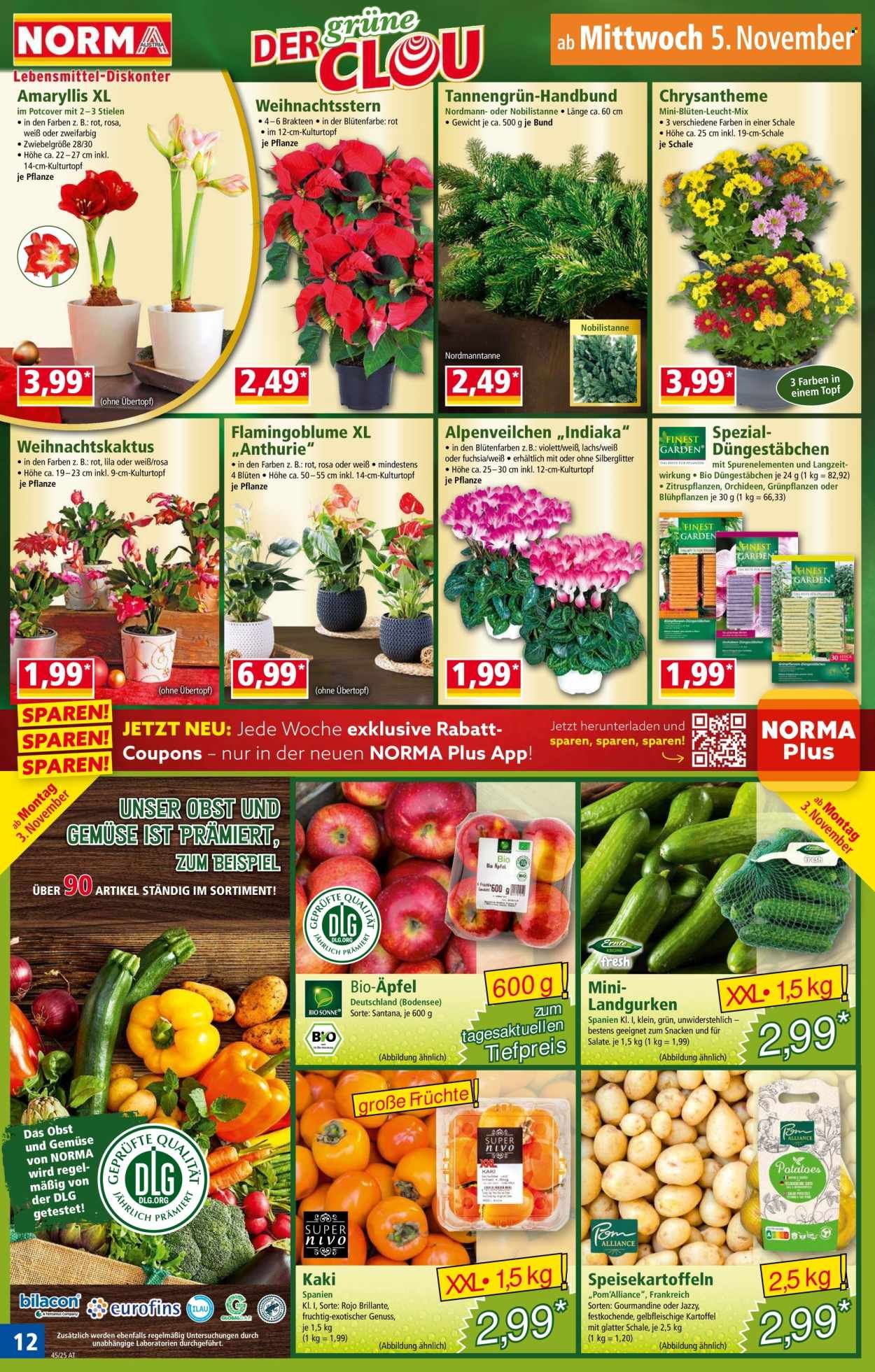 NORMA Flugblatt - Ab Montag, 3.11.2025