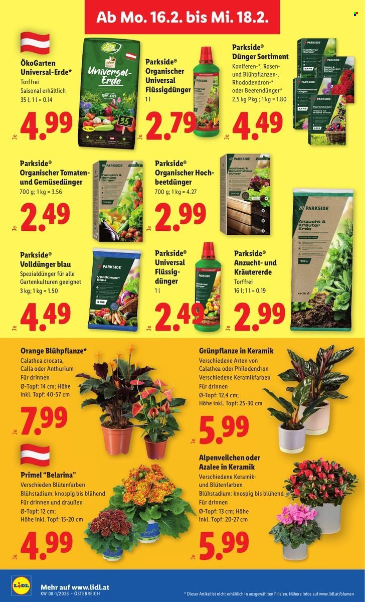 LIDL Flugblatt - Ab Freitag, 13.2.2026