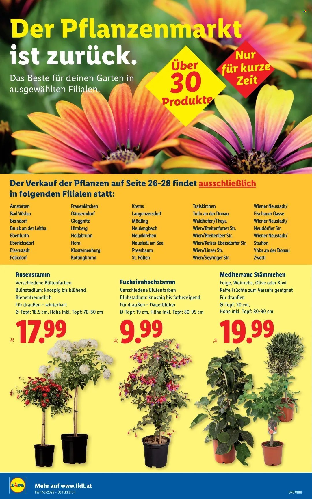 LIDL Flugblatt - Ab Donnerstag, 23.4.2026