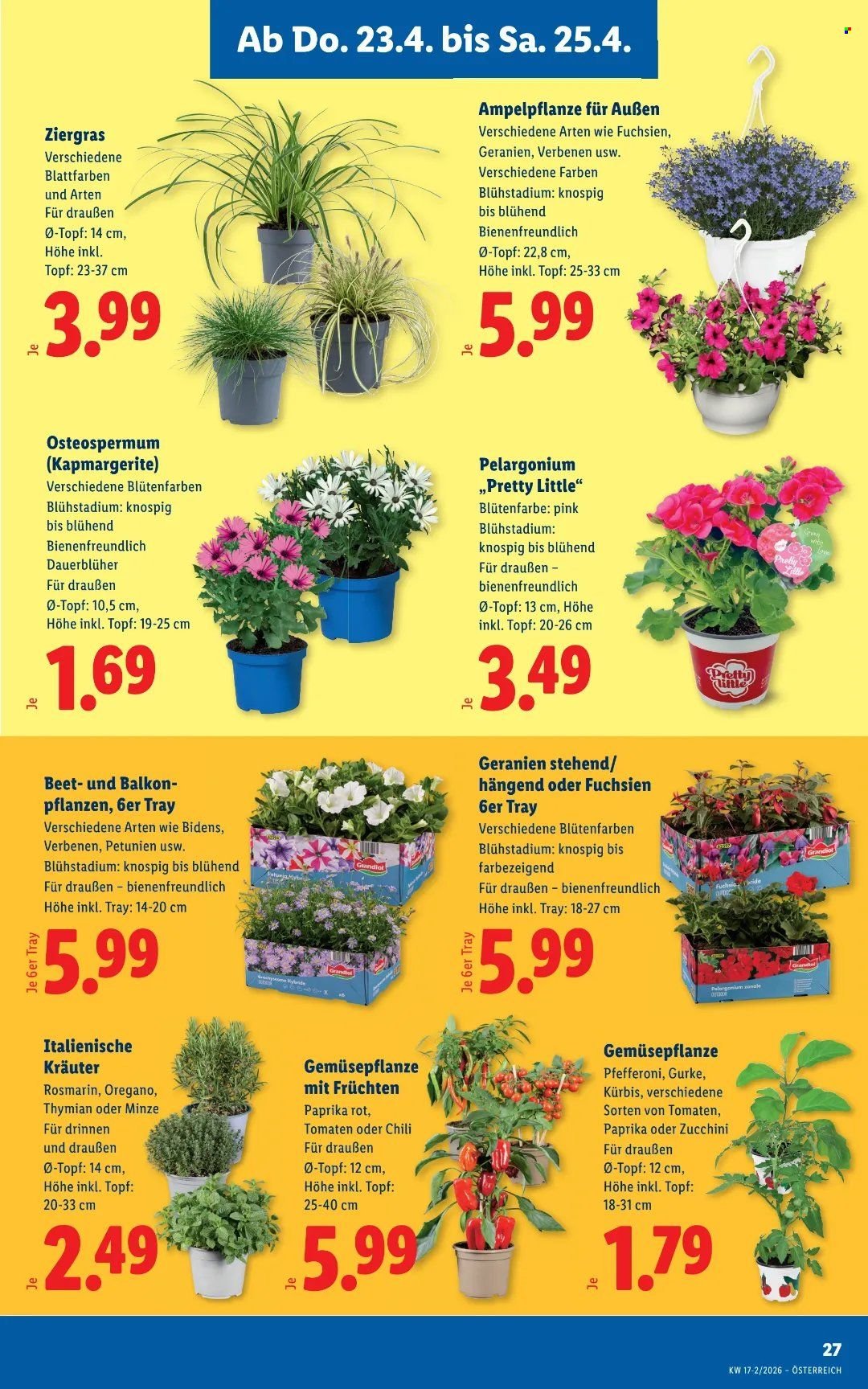 LIDL Flugblatt - Ab Donnerstag, 23.4.2026