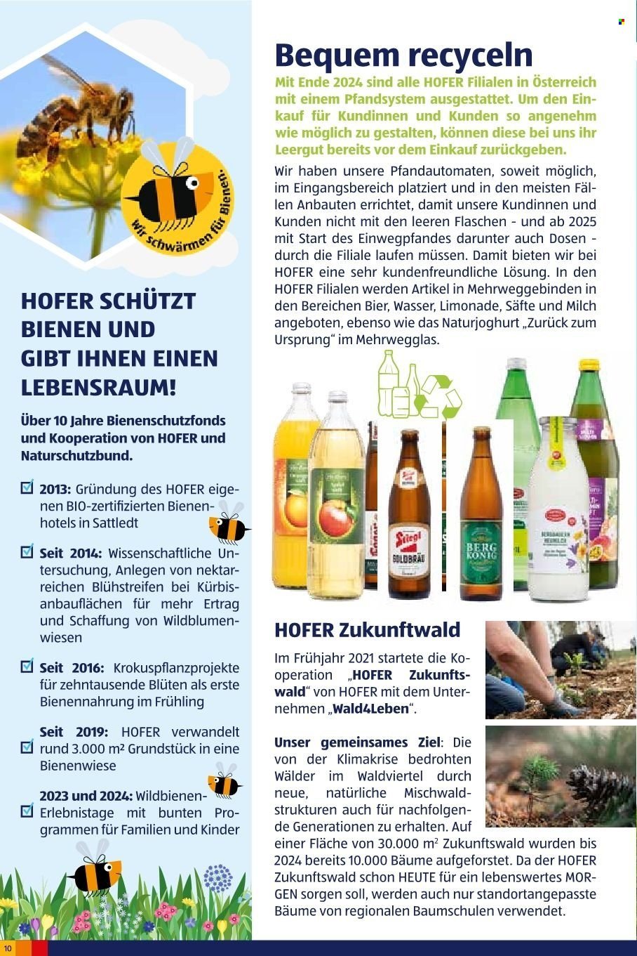 HOFER Flugblatt - Juni 2025 (2024-10-03) | 12