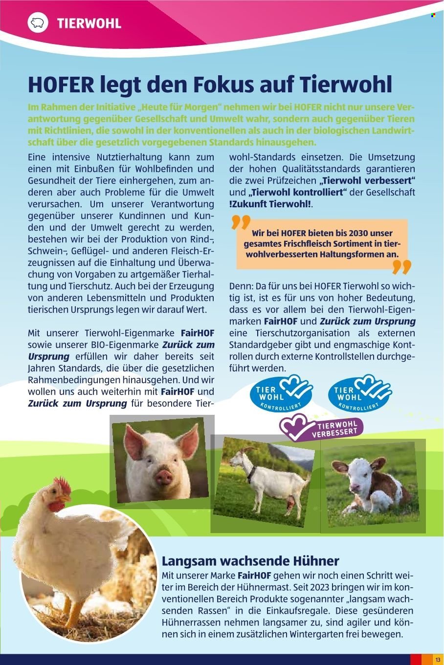 HOFER Flugblatt - Juni 2025 (2024-10-03) | 15