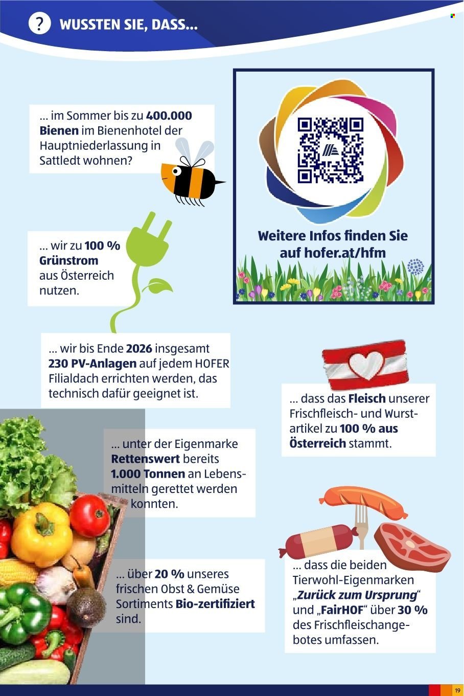 HOFER Flugblatt - Juni 2025 (2024-10-03) | 21