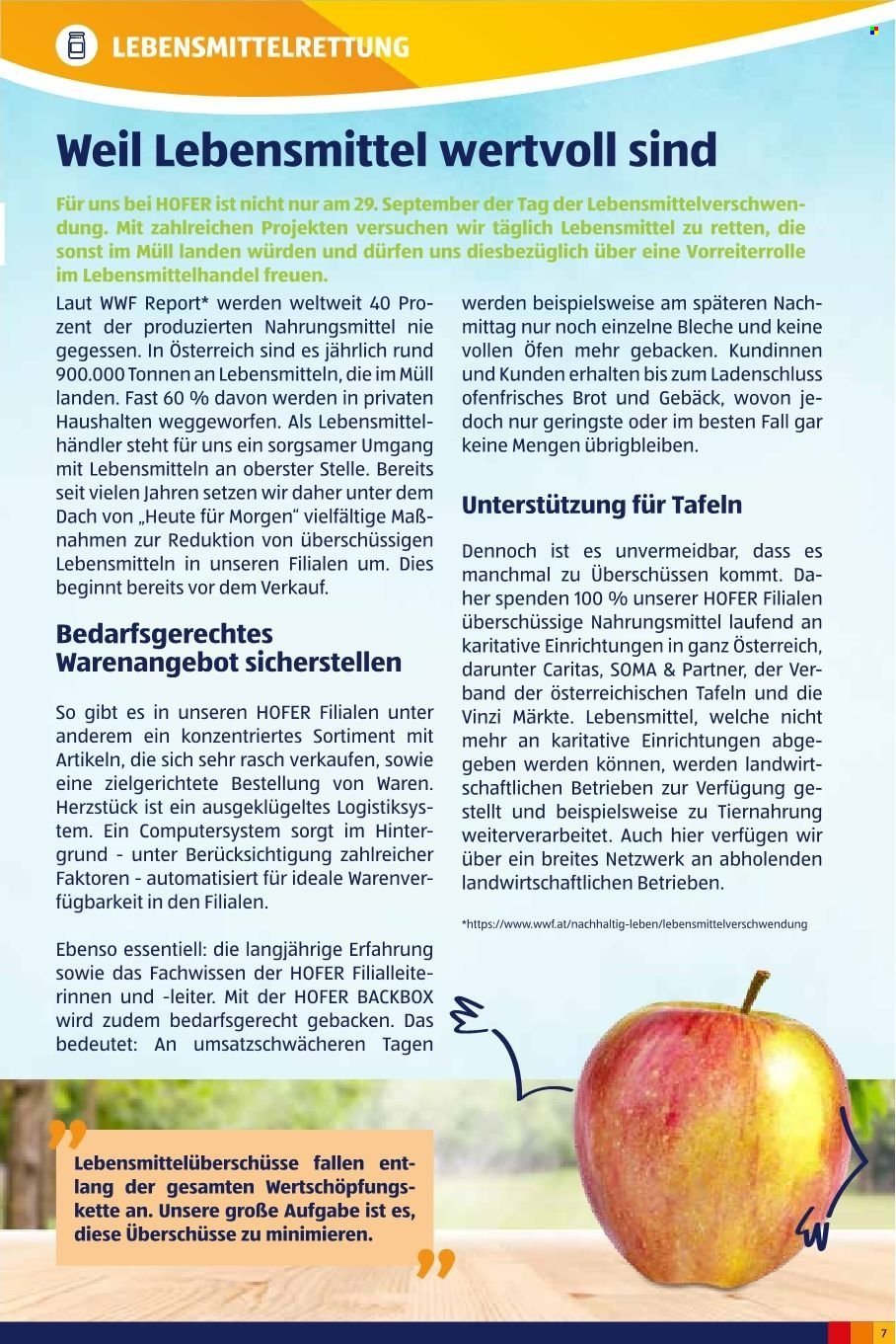 HOFER Flugblatt - Juni 2025 (2024-10-03) | 7