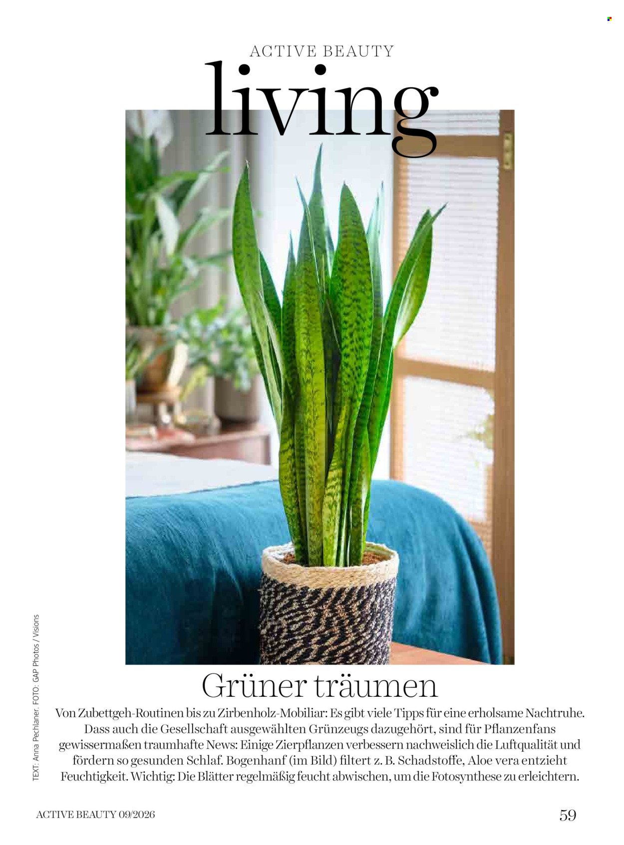 DM DROGERIE Flugblatt - Ab Dienstag, 1.9.2026