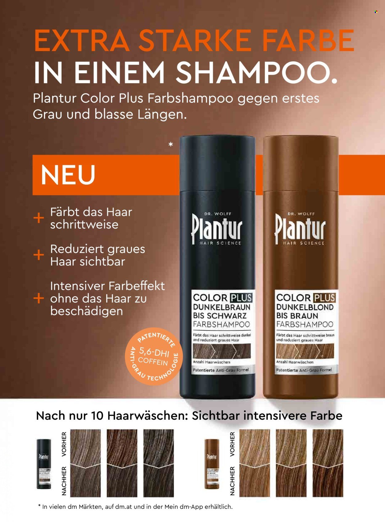 DM DROGERIE Flugblatt - Ab Dienstag, 1.9.2026