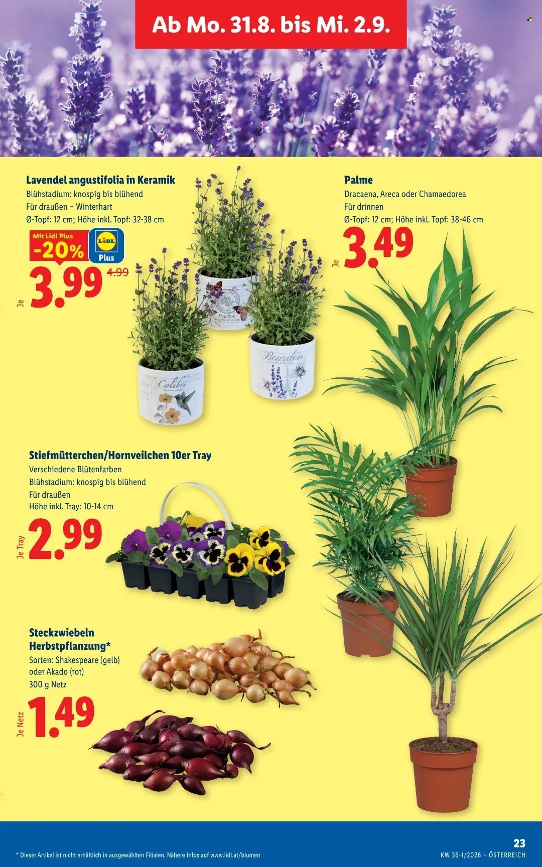 LIDL Flugblatt - Ab Donnerstag, 27.8.2026