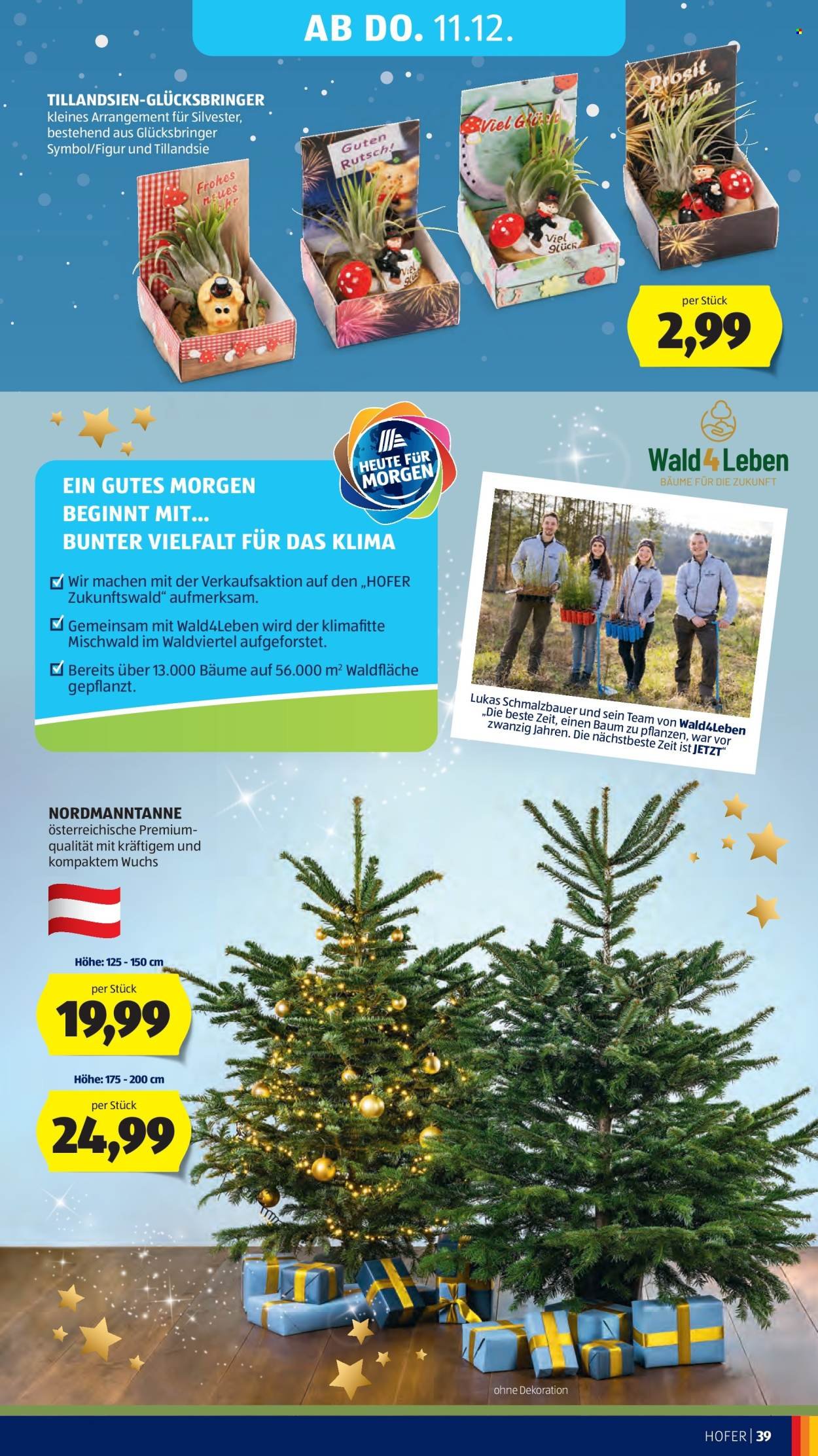 HOFER Flugblatt - Ab Freitag, 5.12.2025