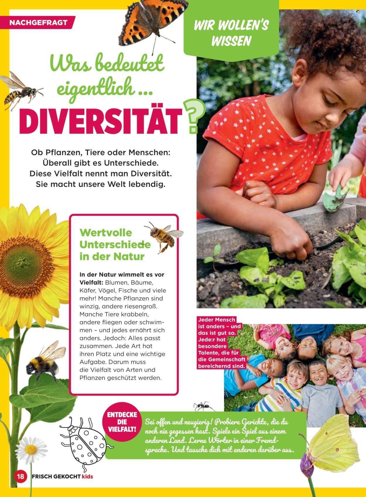 BILLA Flugblatt - Februar 2026