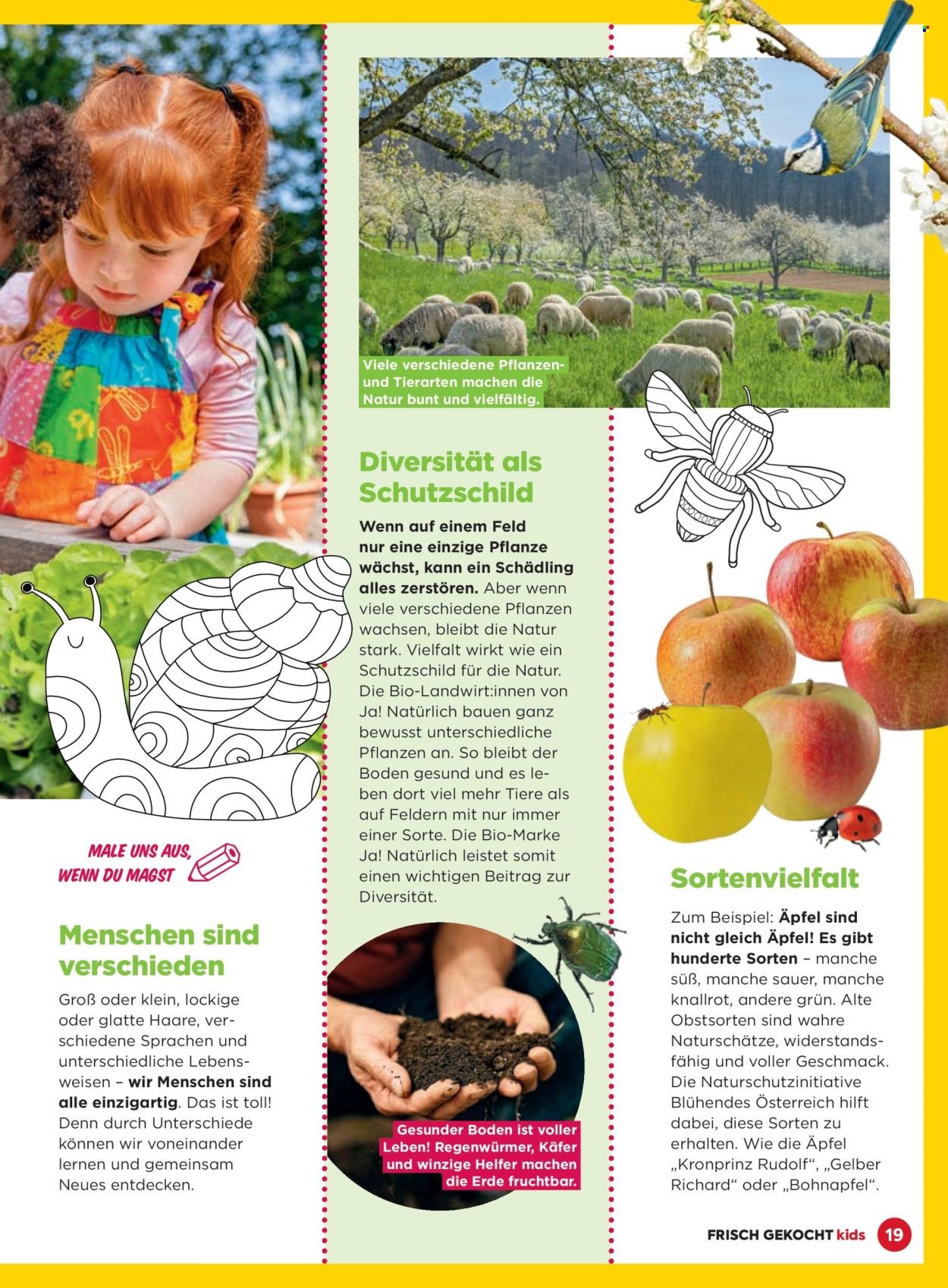 BILLA Flugblatt - Februar 2026