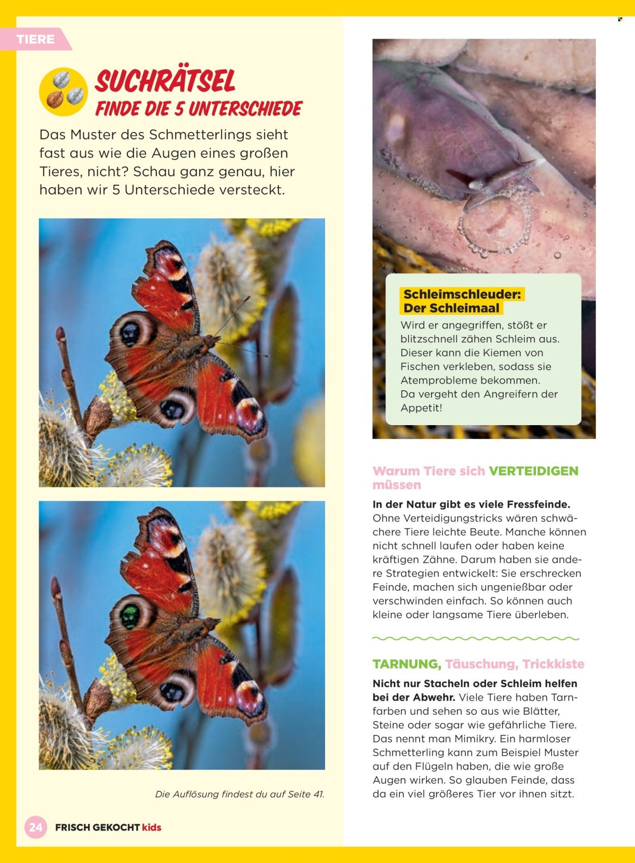 BILLA Flugblatt - Februar 2026