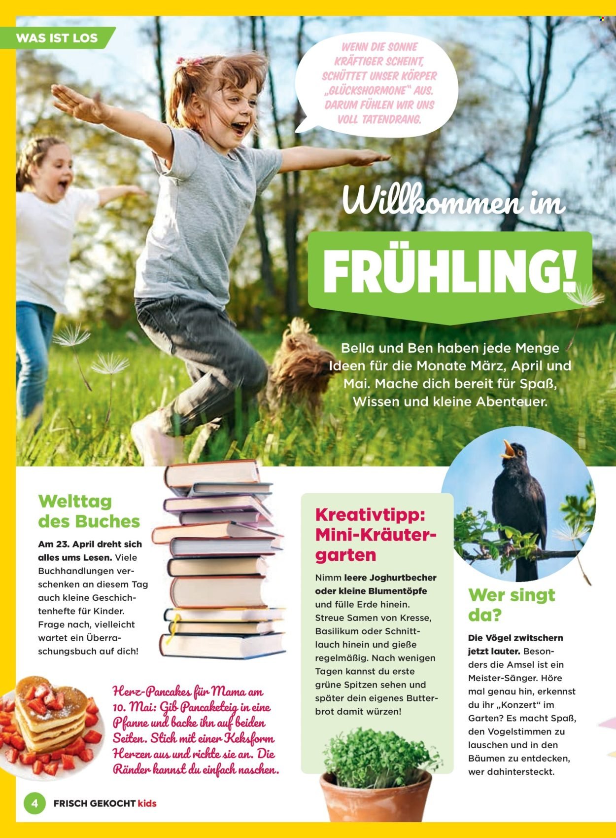 BILLA Flugblatt - Februar 2026