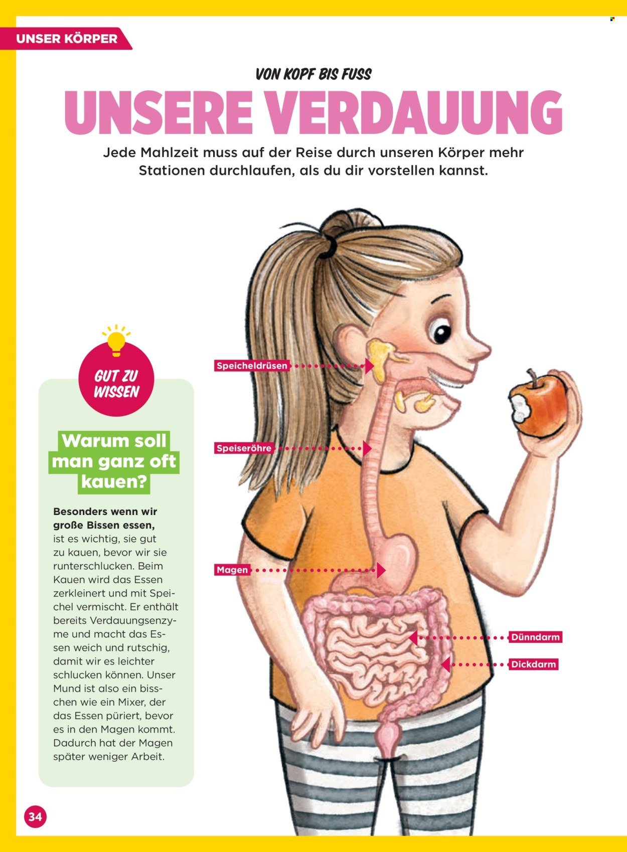 BILLA Flugblatt - Februar 2026