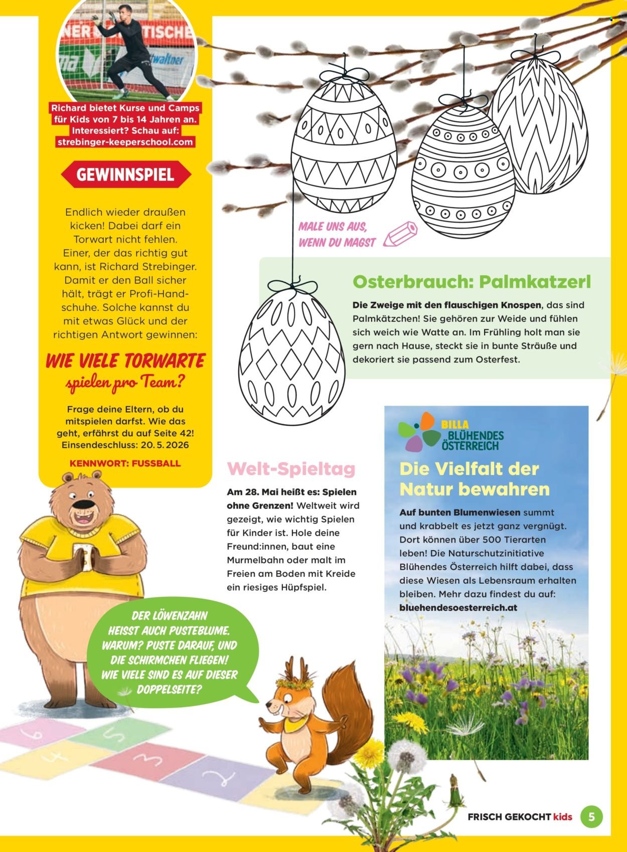 BILLA Flugblatt - Februar 2026