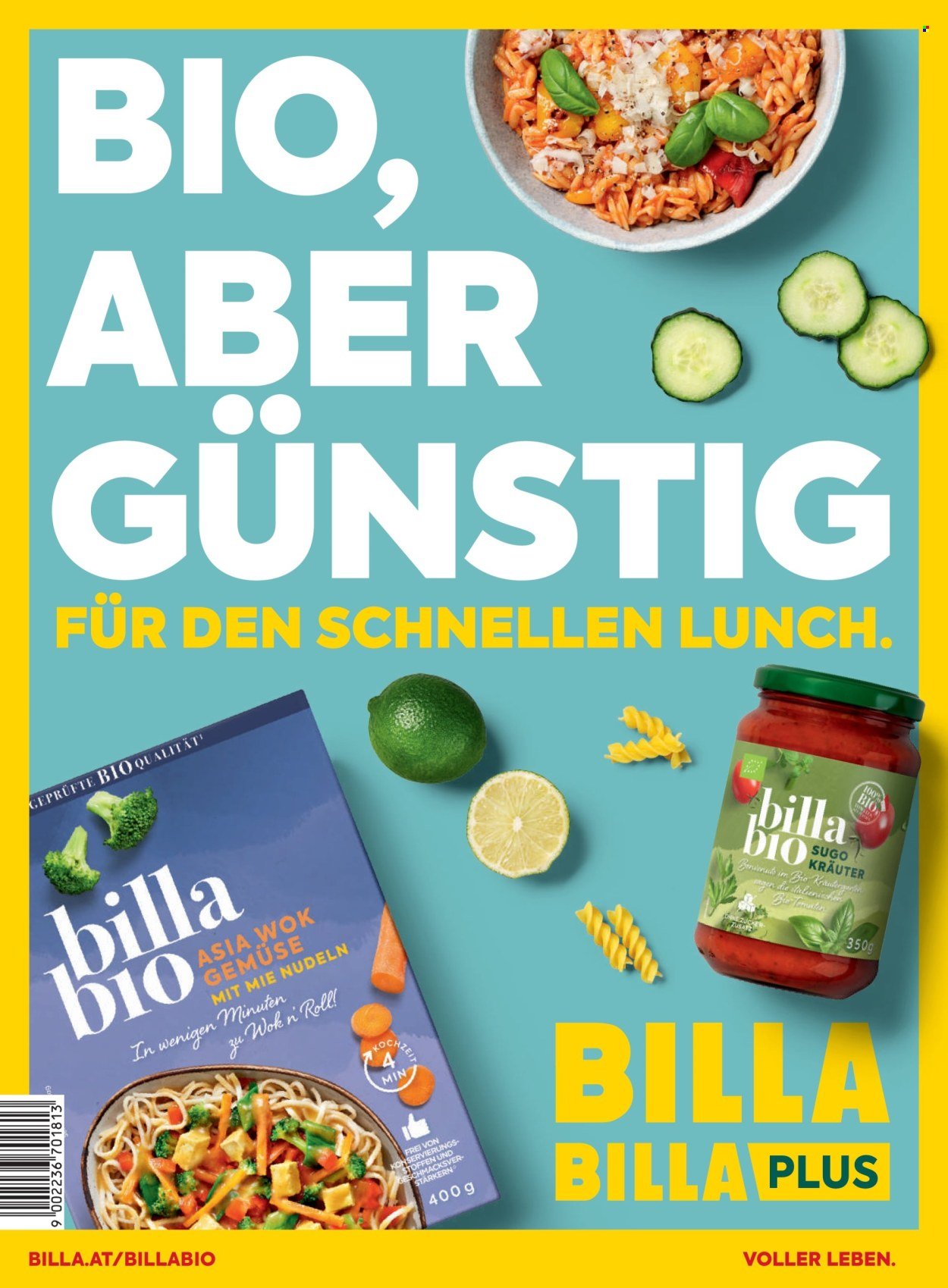 BILLA Flugblatt - Februar 2026
