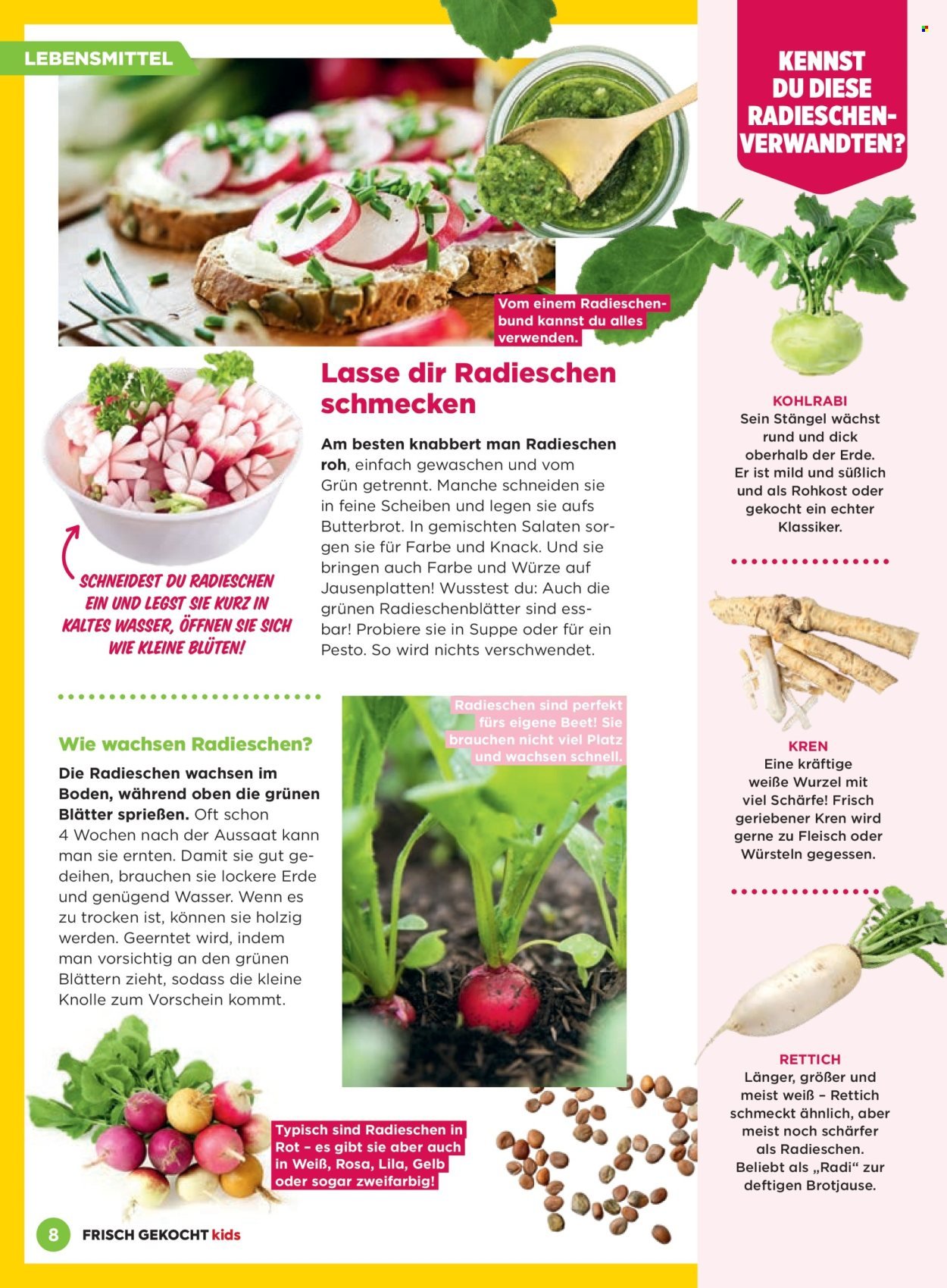 BILLA Flugblatt - Februar 2026