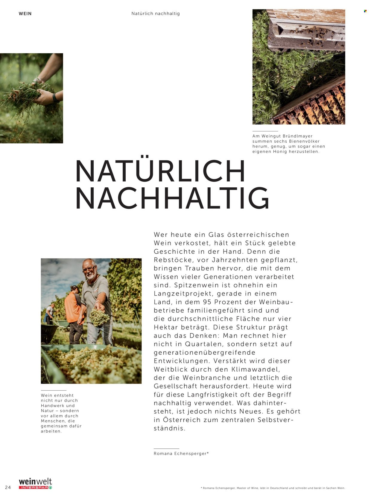 INTERSPAR Flugblatt - Weinwelt Magazin Herbst (2025-09-15)