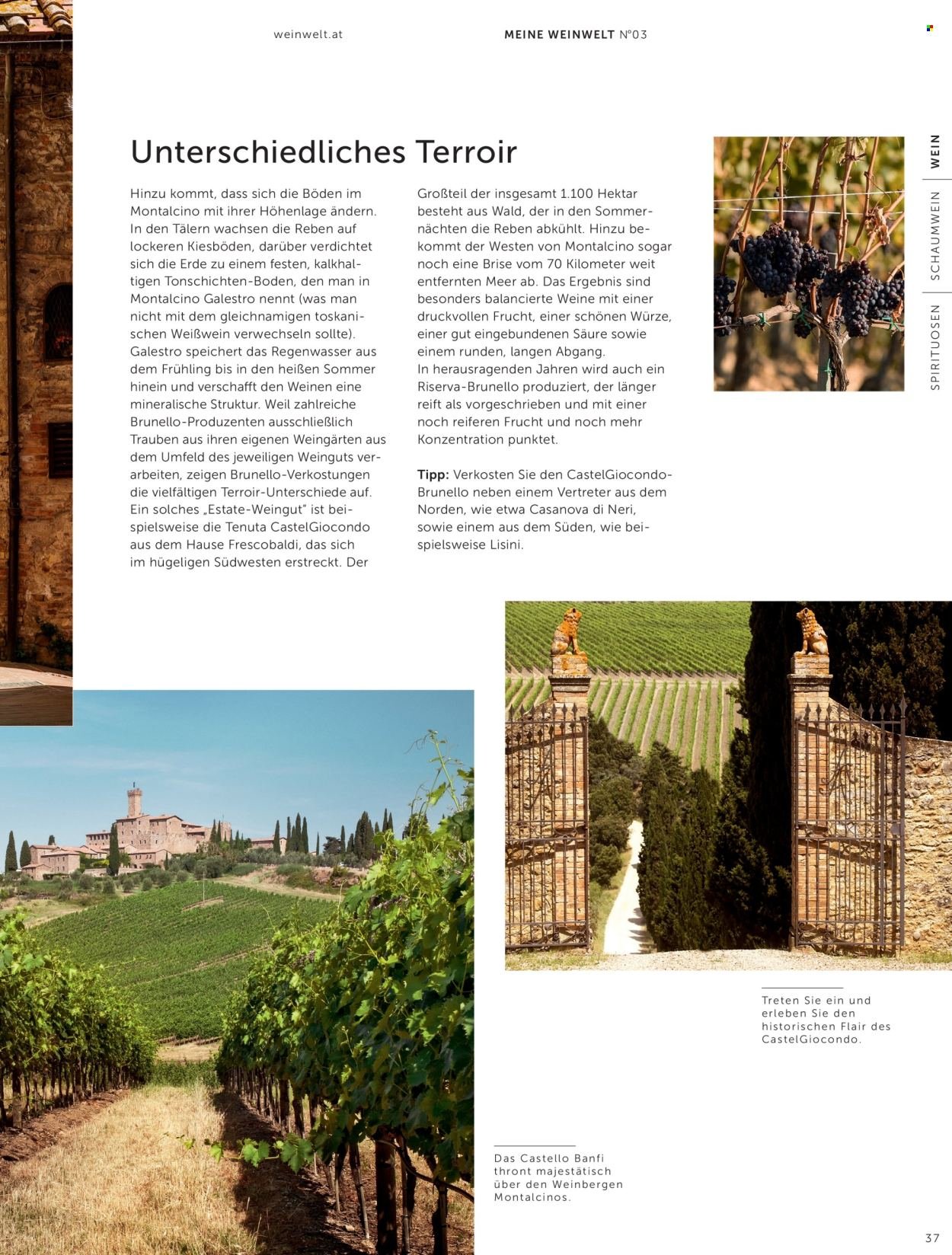 INTERSPAR Flugblatt - Weinwelt Magazin Herbst (2025-09-15)