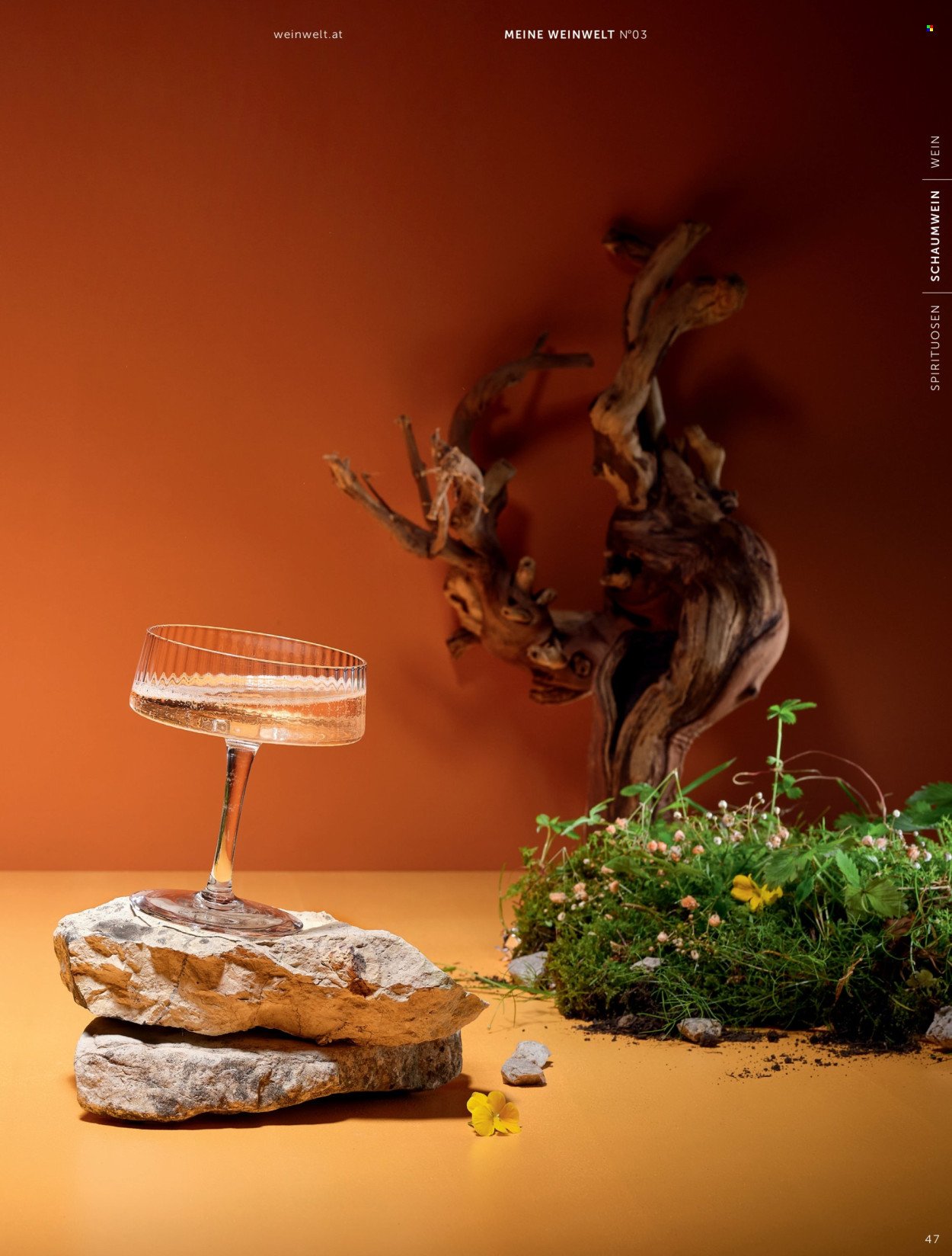 INTERSPAR Flugblatt - Weinwelt Magazin Herbst (2025-09-15)