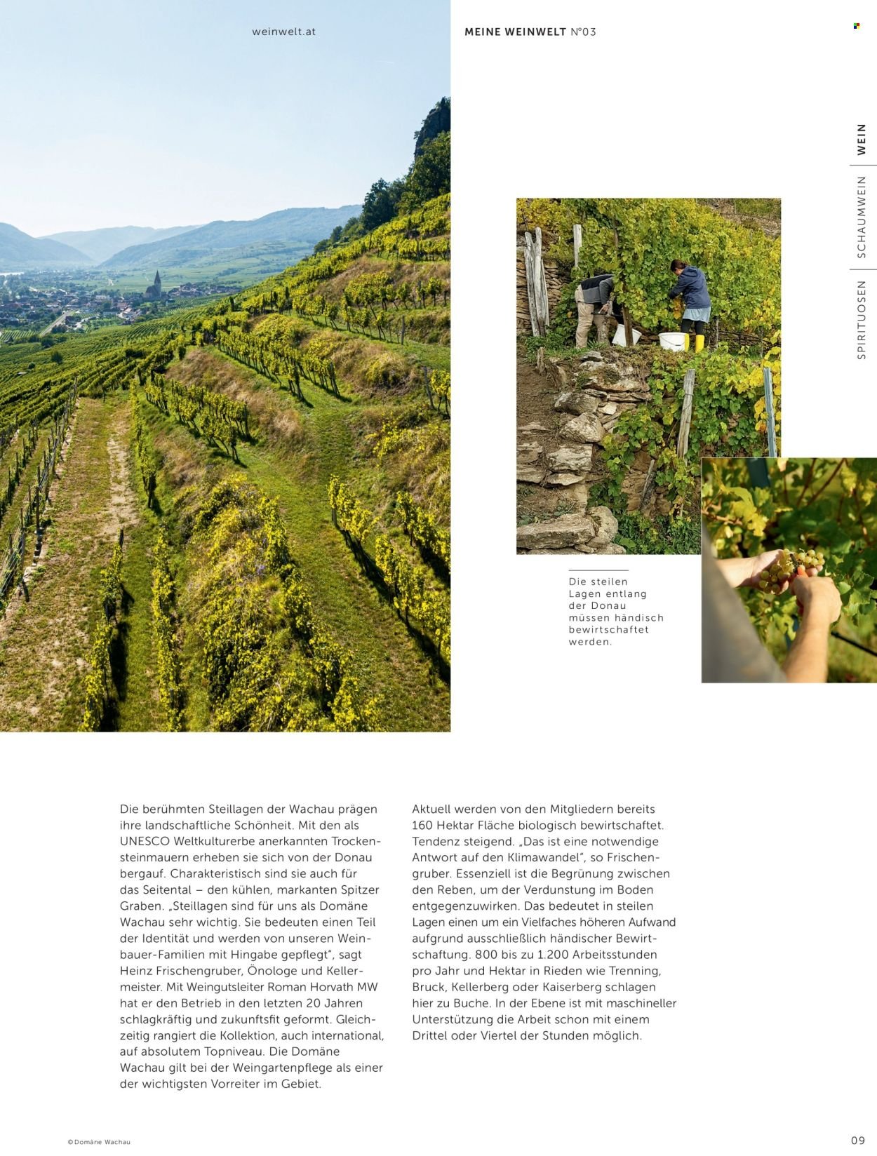 INTERSPAR Flugblatt - Weinwelt Magazin Herbst (2025-09-15)