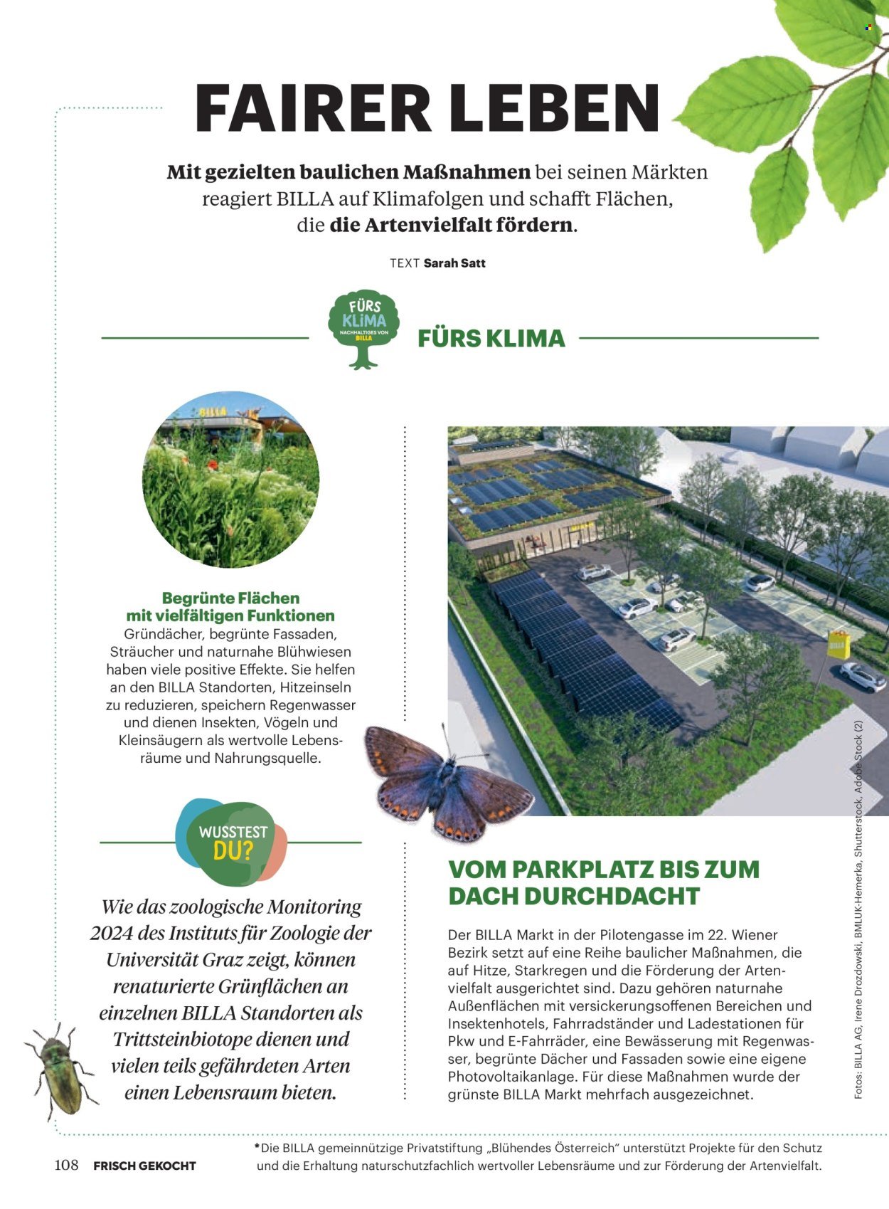 BILLA Flugblatt - Ab Mittwoch, 1.7.2026