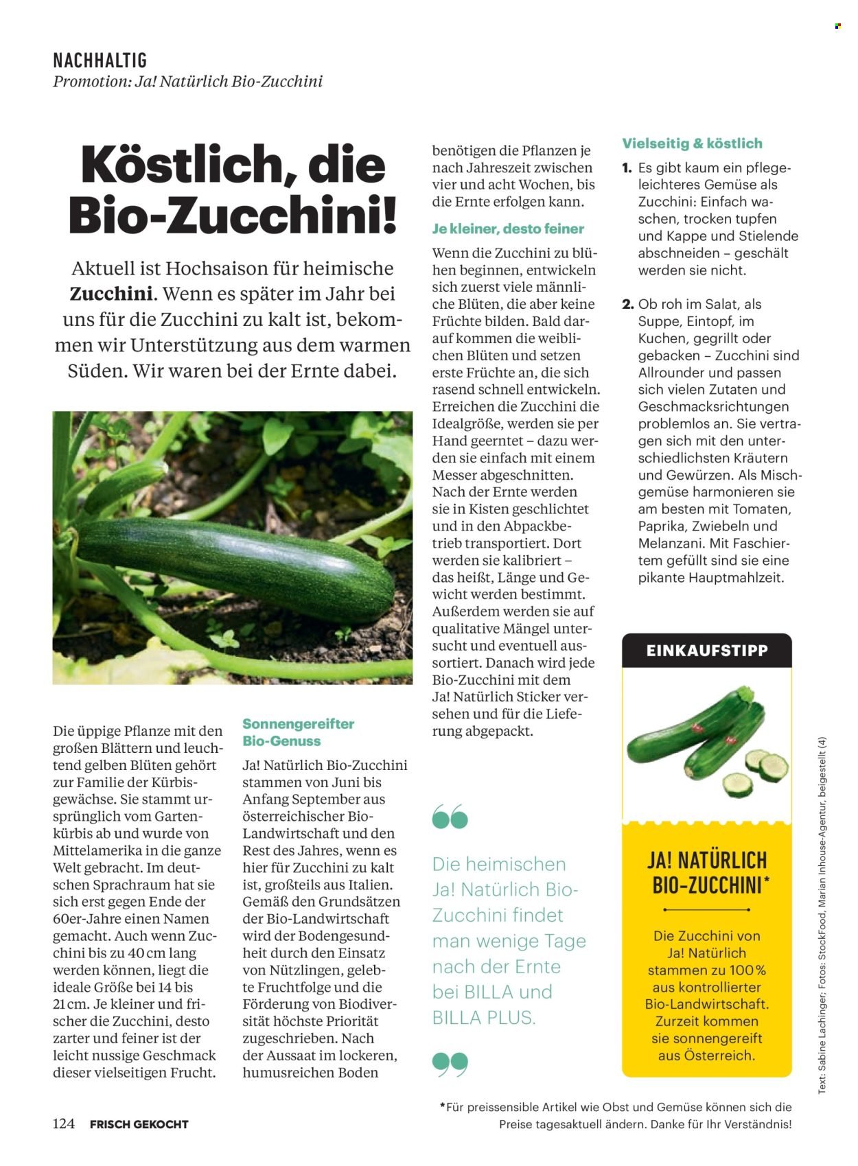 BILLA Flugblatt - Ab Mittwoch, 1.7.2026