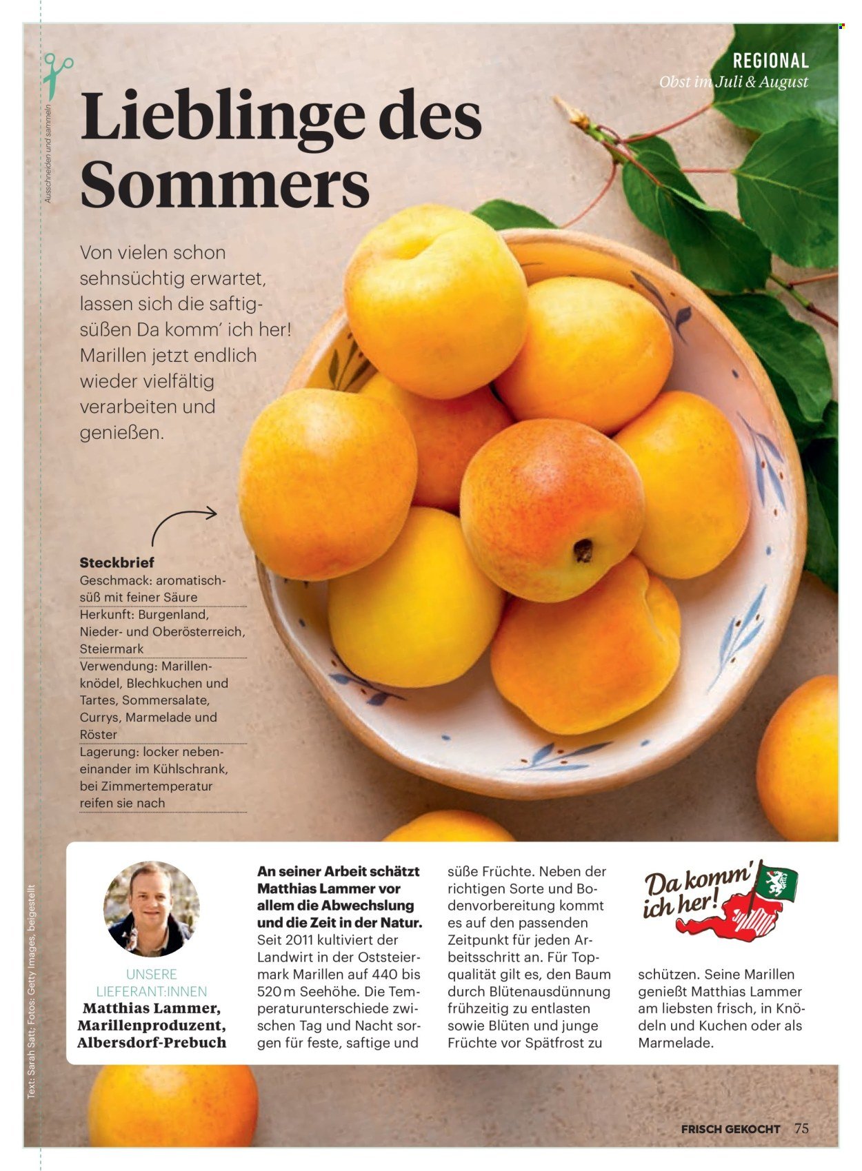 BILLA Flugblatt - Ab Mittwoch, 1.7.2026