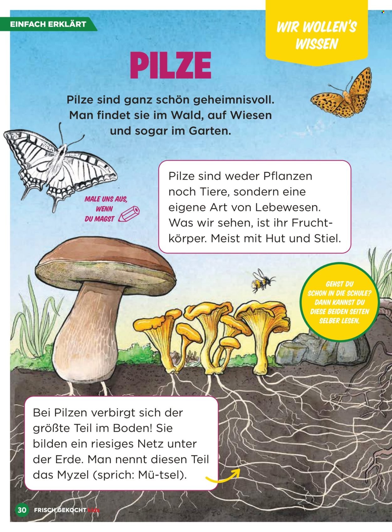 BILLA Flugblatt - September 2025 (2025-09-03)