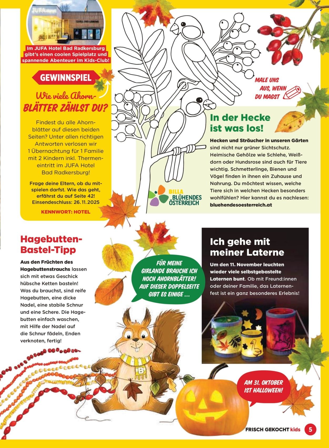 BILLA Flugblatt - September 2025 (2025-09-03)