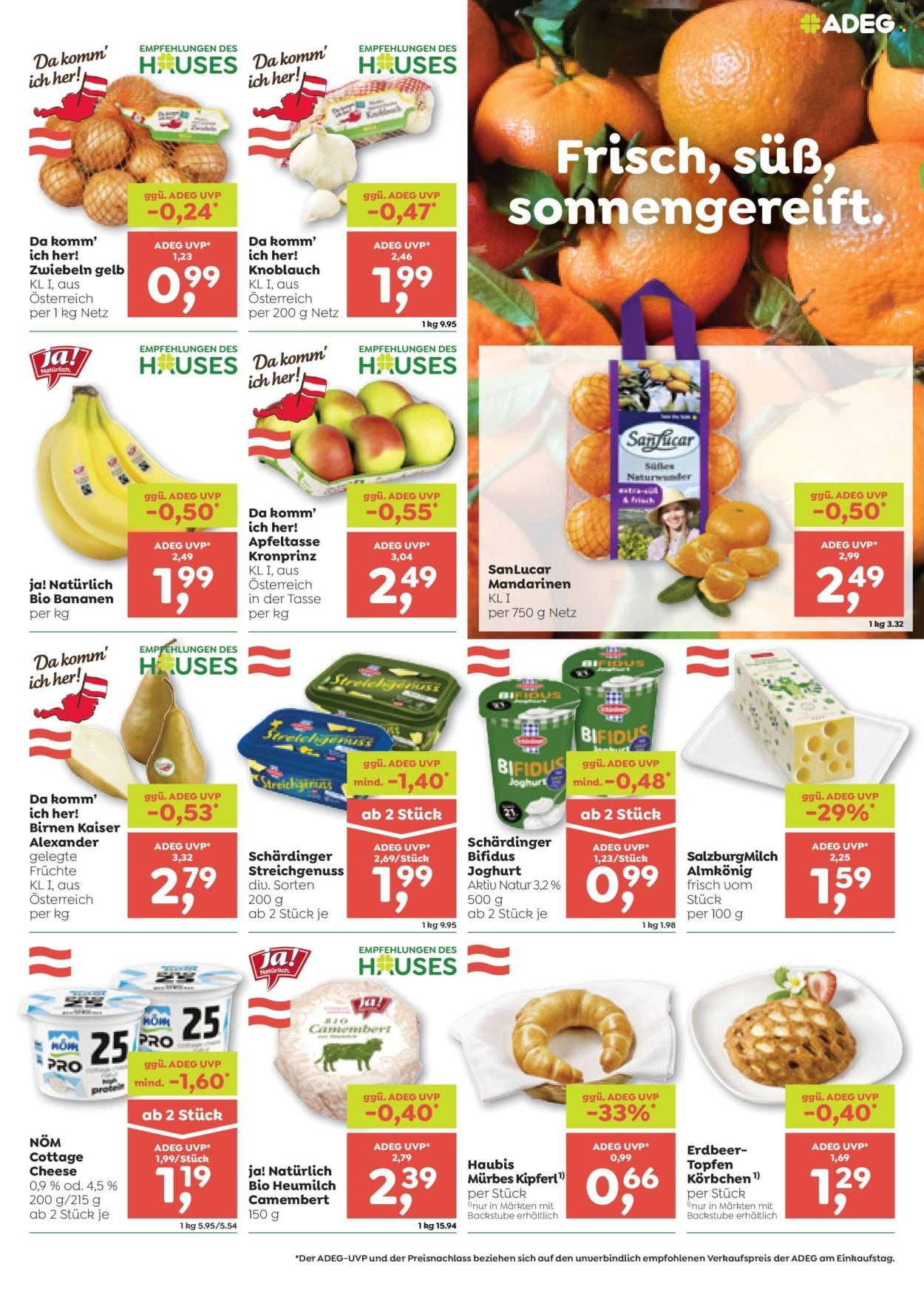 ADEG Flugblatt - Ab Donnerstag, 8.10.2026