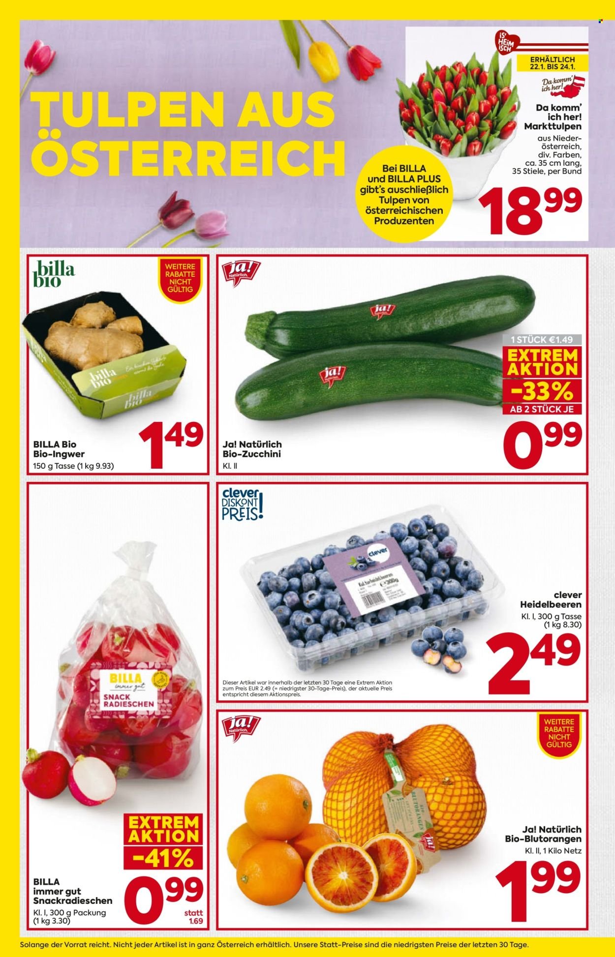 BILLA Flugblatt - Ab Donnerstag, 22.1.2026