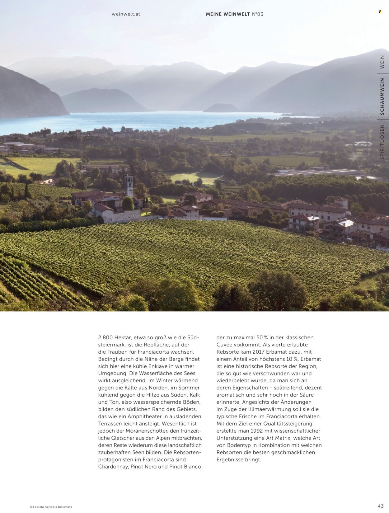 INTERSPAR Flugblatt - Ab Mittwoch, 9.9.2026