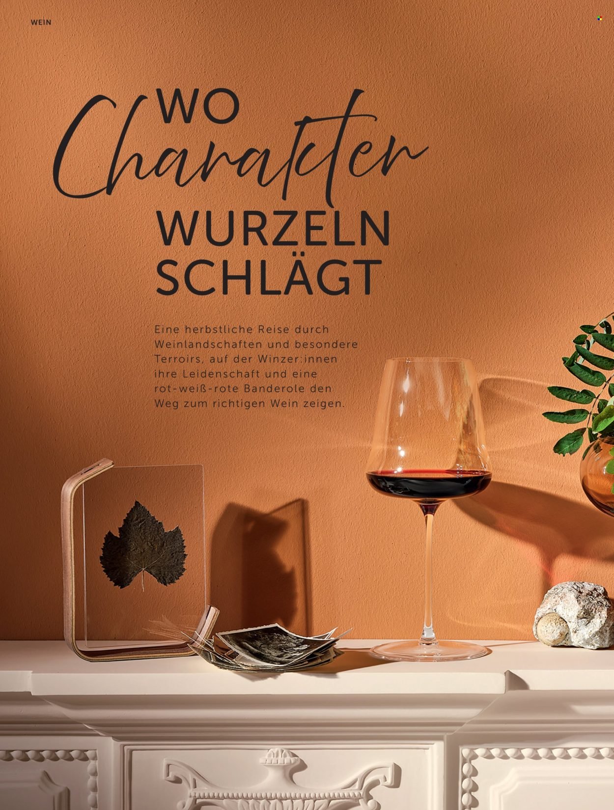 INTERSPAR Flugblatt - Ab Mittwoch, 9.9.2026