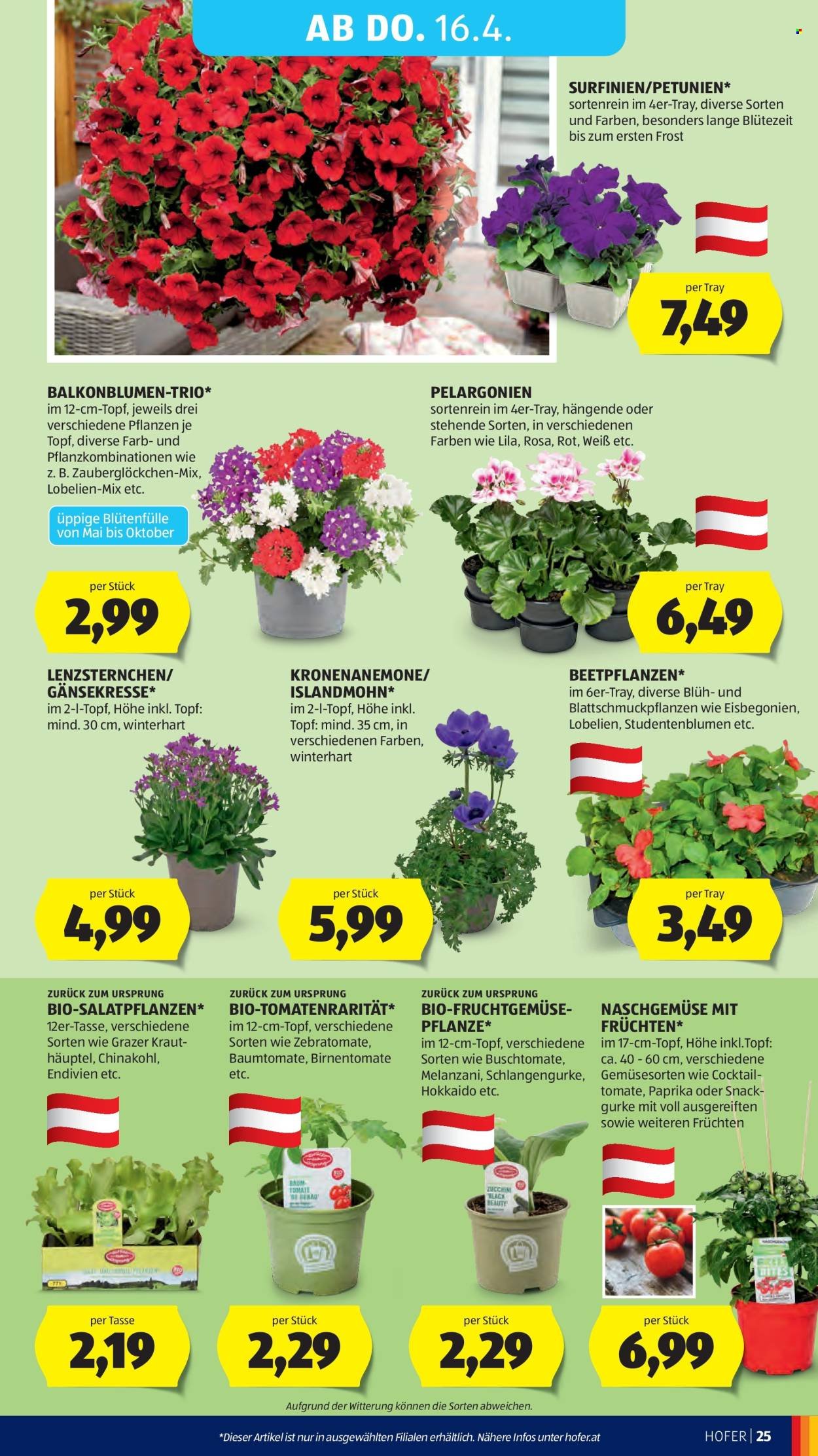 HOFER Flugblatt - Ab Mittwoch, 8.4.2026