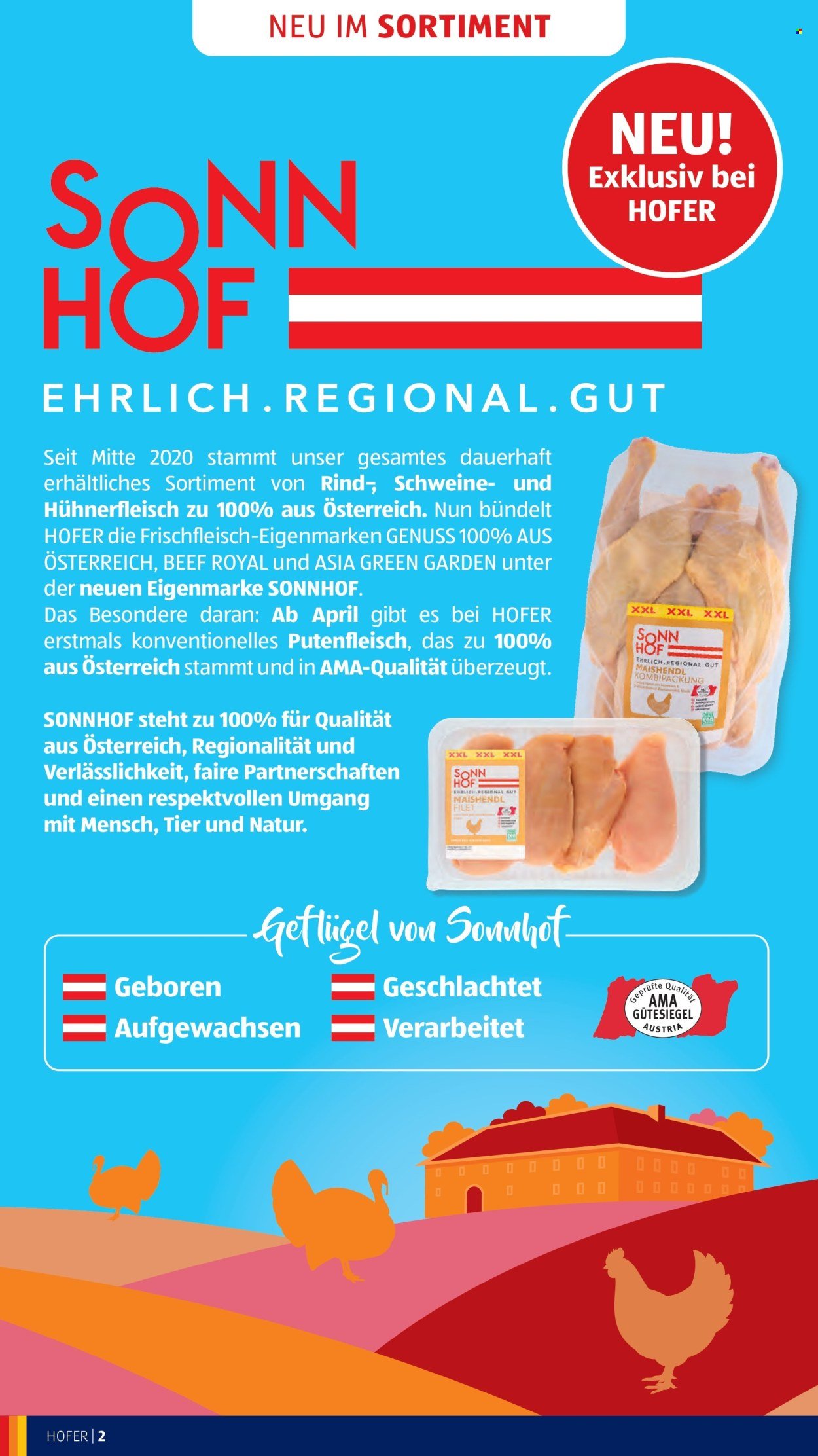 HOFER Flugblatt - Ab Mittwoch, 8.4.2026