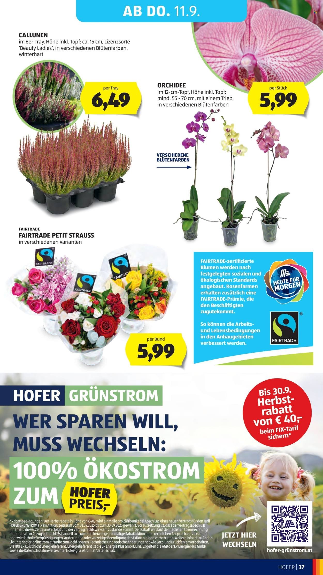 HOFER Flugblatt - Ab Freitag, 5.9.2025 (2025-09-05 - 2025-09-11)