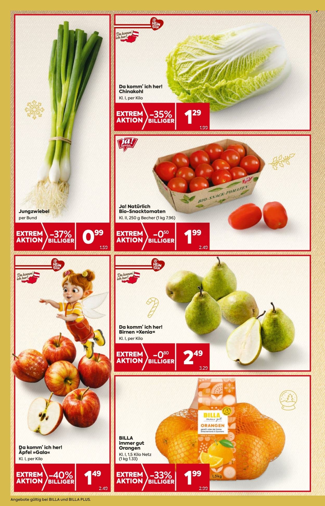 BILLA Flugblatt - Ab Donnerstag, 27.11.2025