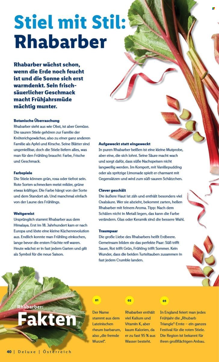 LIDL Flugblatt - Deluxe Ostern Magazin